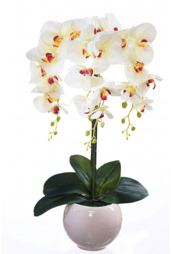 Silikonová orchidea ecru žlto červena