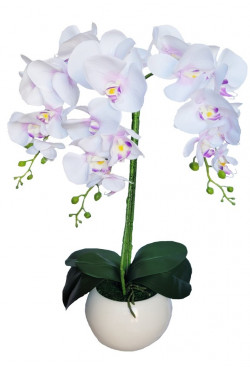Silikonová orchidea v bielo fialovej farbe
