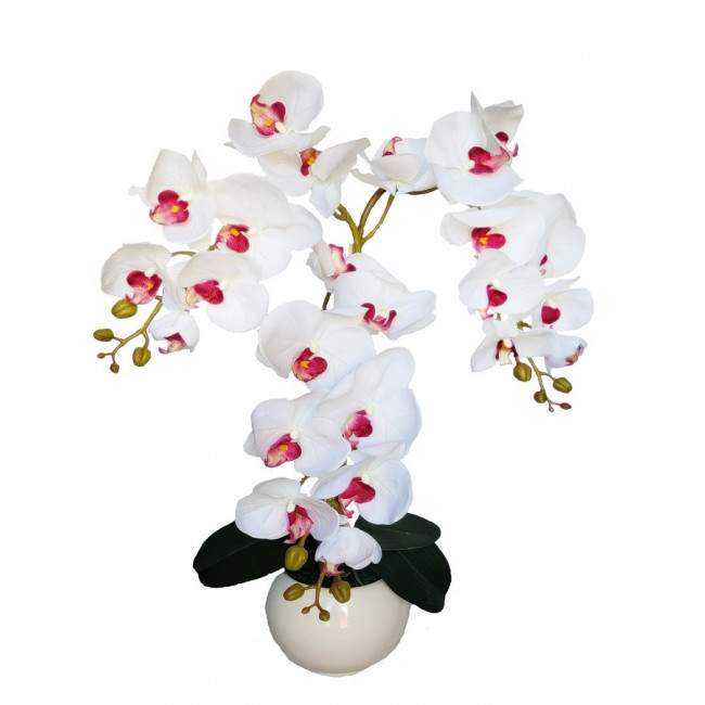 Silikonová orchidea bielo červená 
