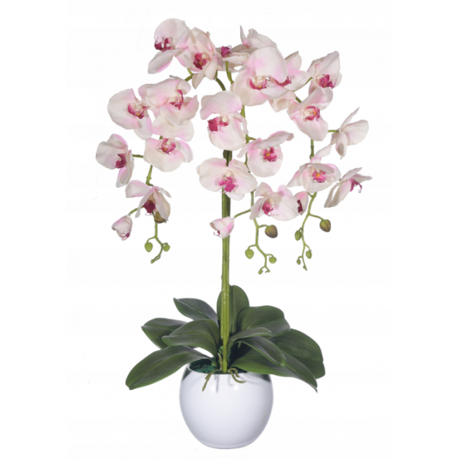 Silikonová orchidea ecru-ružová