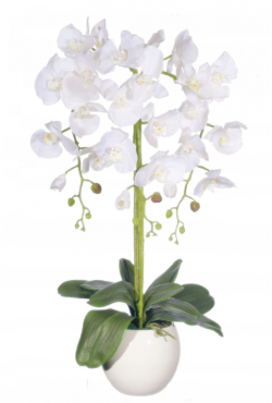 Silikonová orchidea biela