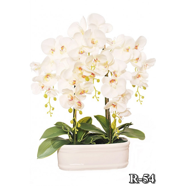 Silikonová orchidea 62cm v krásnom keramickom črepníku
