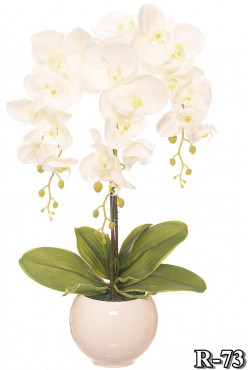 umelá orchidea v bielej farbe
