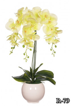 Silikonová orchidea 67cm