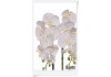 Silikonová orchidea biela 64cm